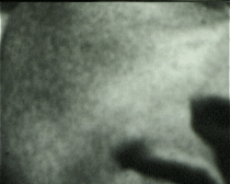 The Monologues of the Usher at the Jerusalem Film Festival Screenings