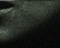 To Live her Life, 2002