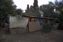 About the Eternal Sukkah Project, 2014-2015 | סוכת נצח