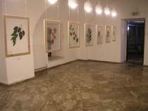 The Right to Copy, 2006
