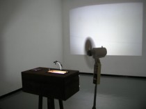 Seara/Storm, 2006-2007