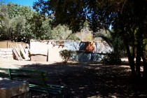 The Sala-manca group  Rush to Help a Bedouin Tribe
