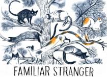 Familiar Strangers by Maya Shlefier