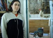 Pulke’s Visit (2004/2020) (video work)